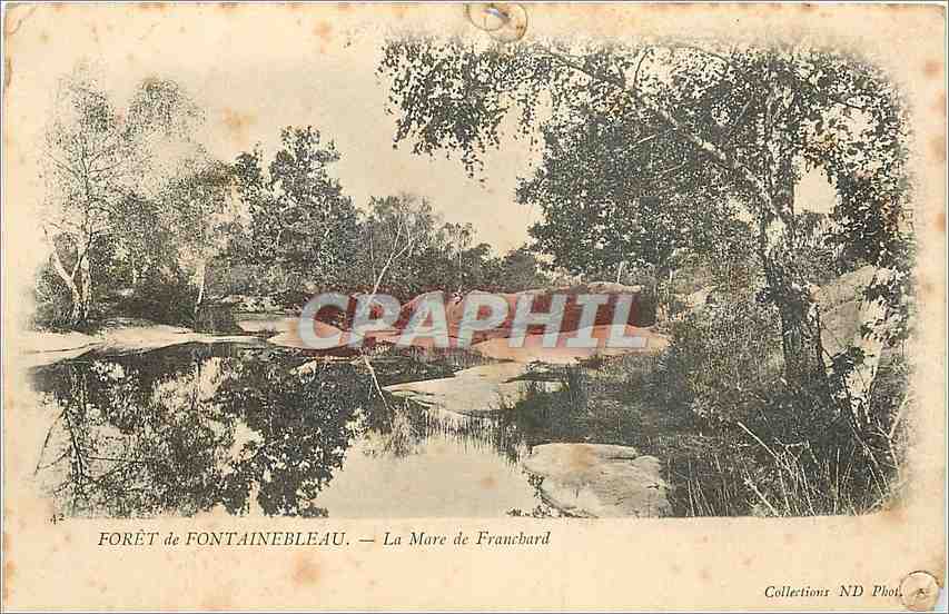FORÊT de FONTAINEBLEAU — La Mare de Francbard — Collection ND Phot.