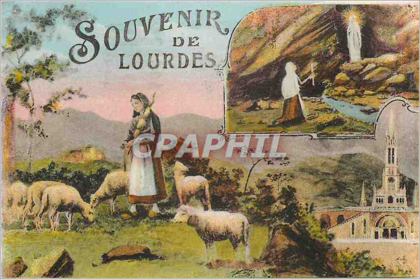 CPA Souvenir de Lourdes Moutons