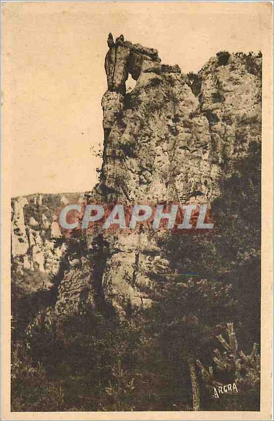 CPA Gorges du Tarn Le cheval mange son avoine 