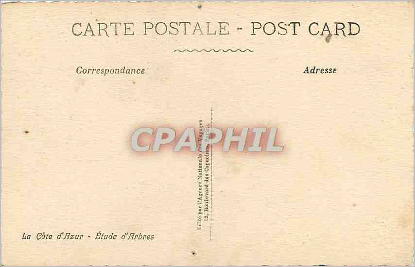 CPA La Cote d'Azur Etude d'Arbres  — Back