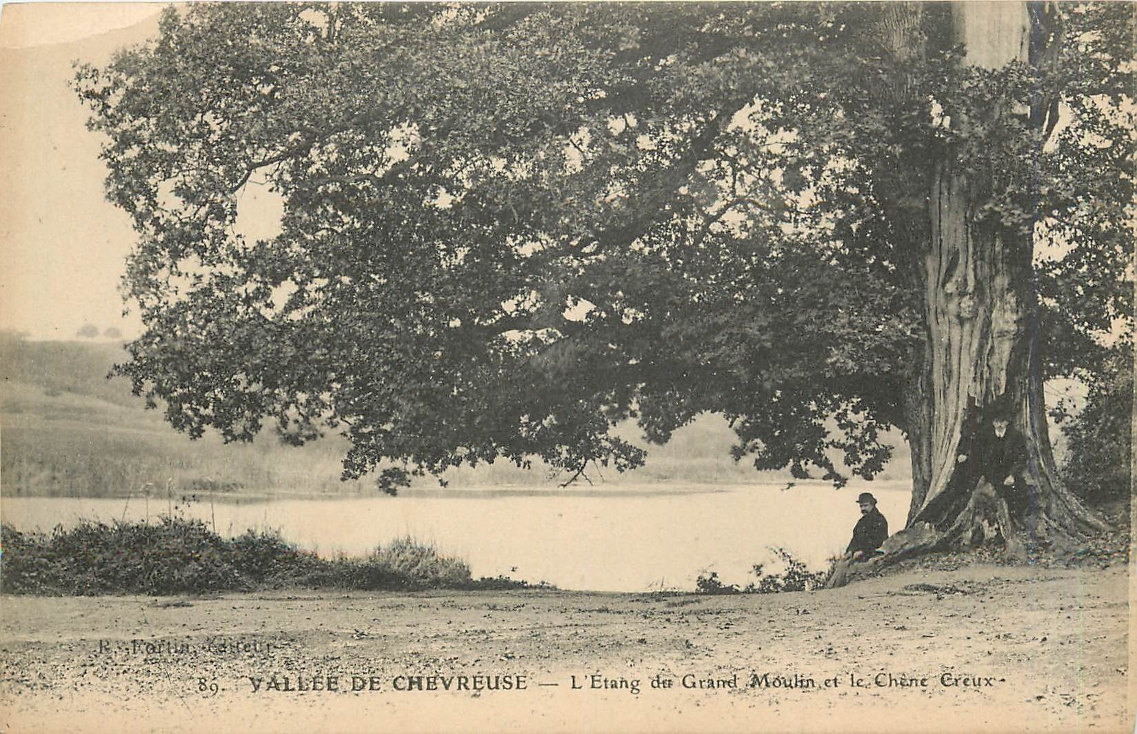 CPA Vallee de Chevreuse L'Etang du Grand Moulin et le Chene Creux 