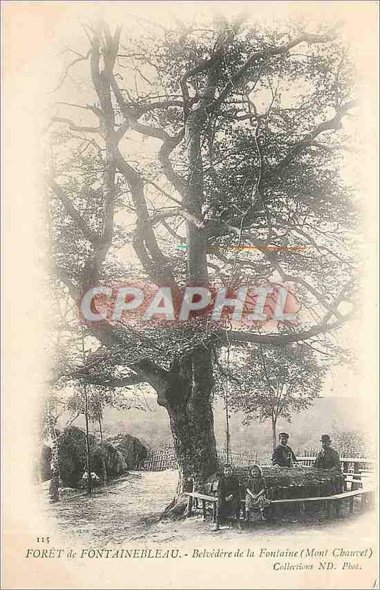Forêt de Fontainebleau — Belvédère de la Fontaine (Mont Chauvet) — Collections ND. Phot.