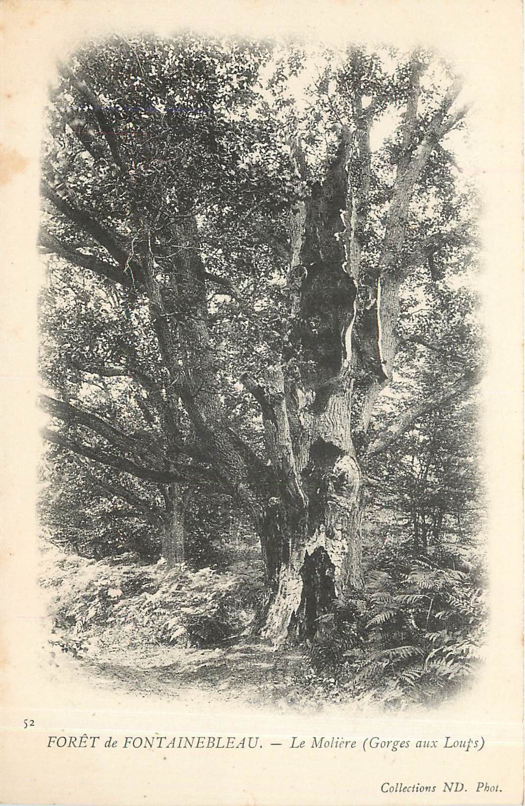 Fontainebleau Forest — Le Molière (Gorges aux Loups) — Collections ND. Phot.
