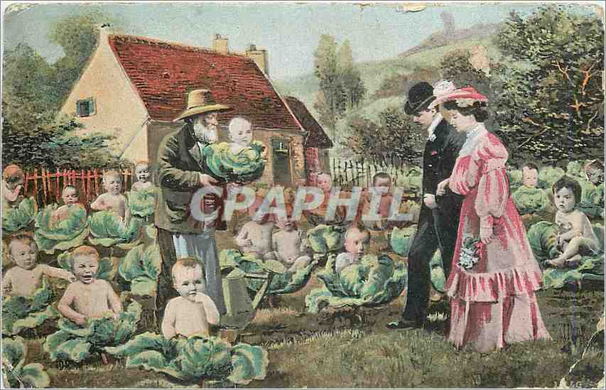 CPA Enfants dans les choux Femme