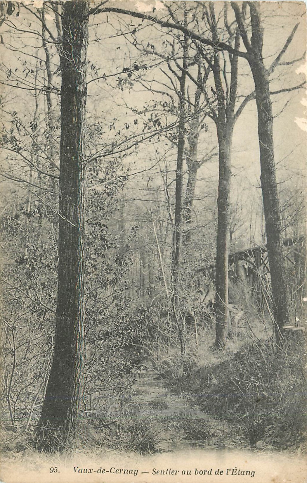 CPA Vaux de Cernay Sentier au bord de l'Etang 