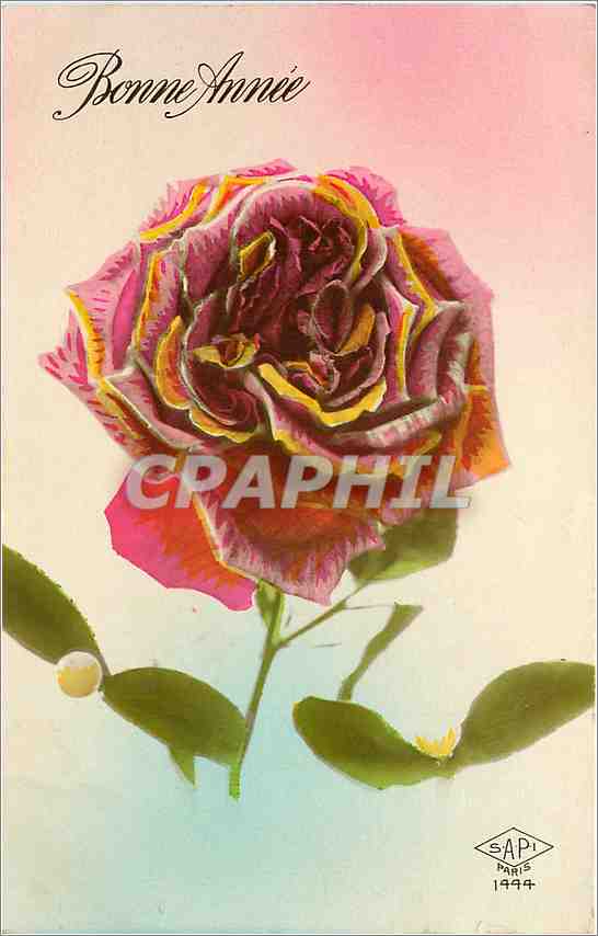CPA Bonne Annee Fleurs