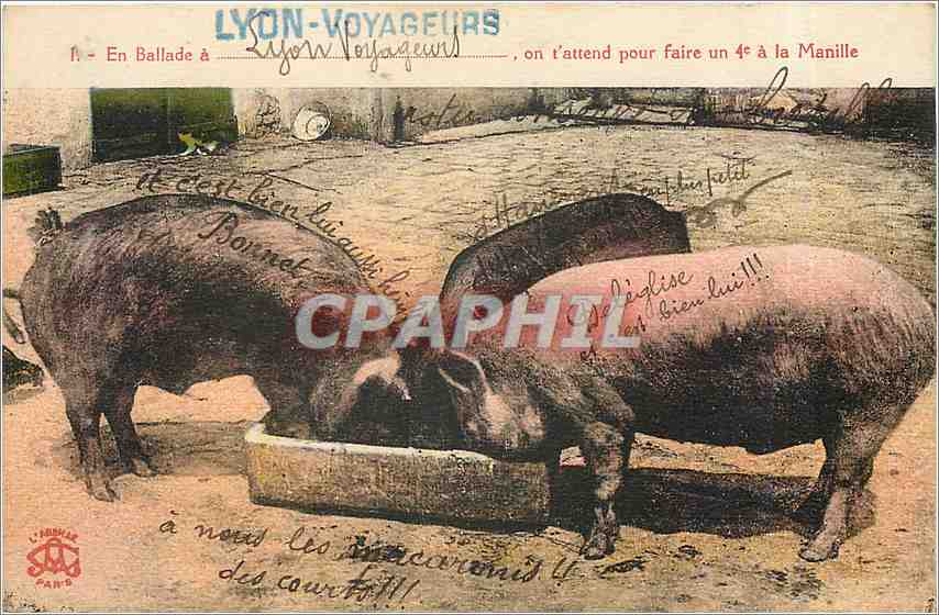 Deux porcs à l'étable — Lyon-Voyageurs, n°1 — éditeur L. FERRAND PARIS