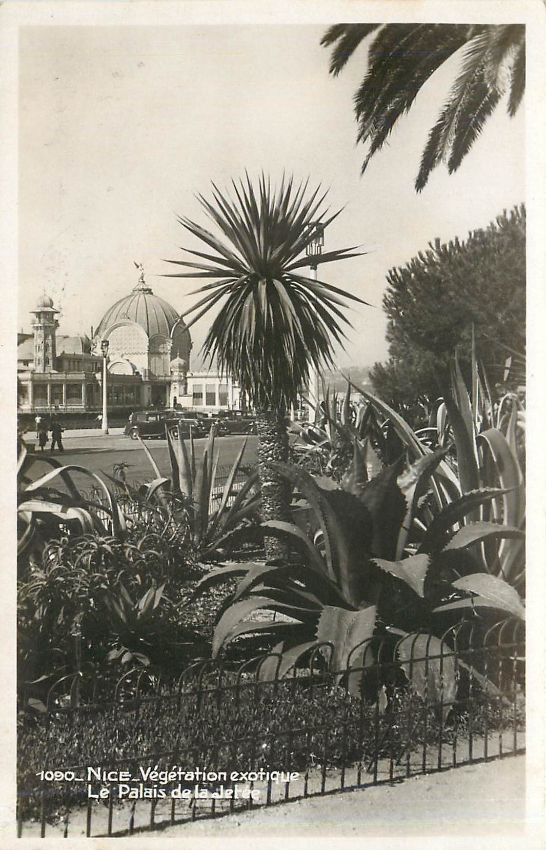 CPA Nice Vegetation exotique Le Palais de la Jetee 