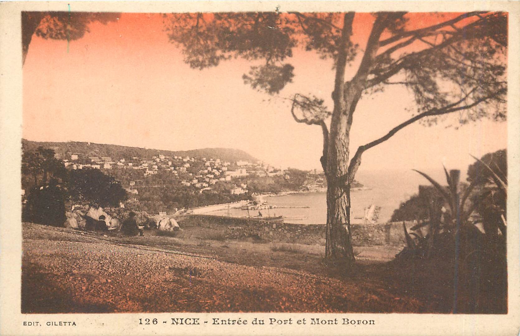 CPA Nice Entree du Port et Mont Boron 