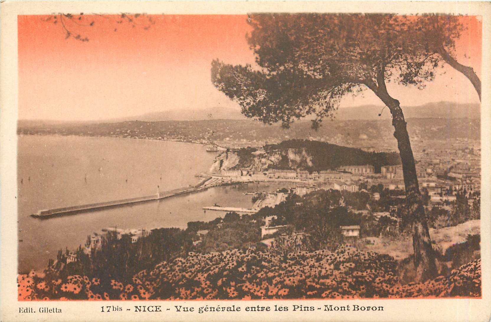 CPA Nice Vue generale entre les Pins Mont Boron 