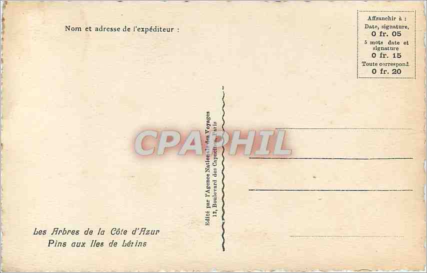 CPA Les Arbres de la Cote d'Azur Pins aux Iles de Lerins  — Rückseite