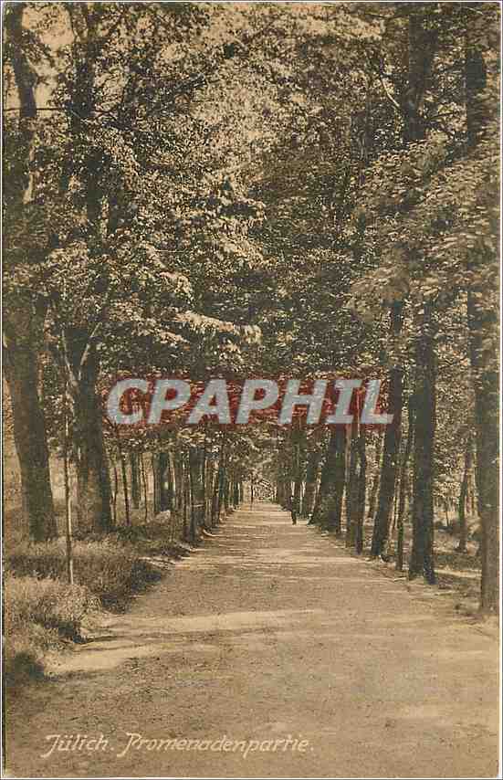 CPA Julich Promenaden partie 