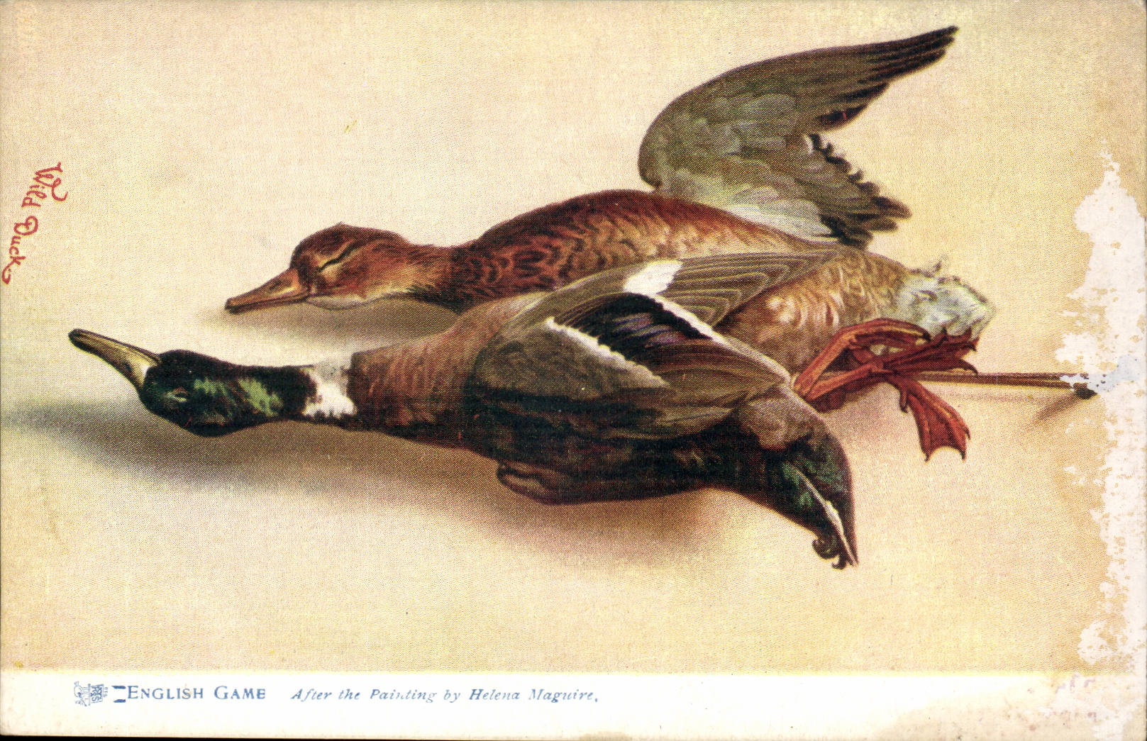 CPA English game After the painting by Helene Maguire Bird Oiseau Duck CAnard