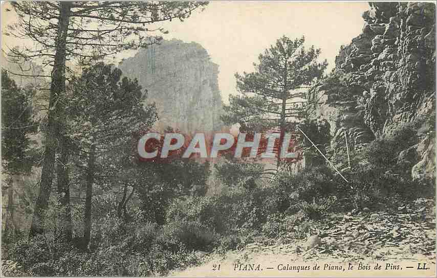 CPA Piana - Calanques de Piana  le Bois de Pins