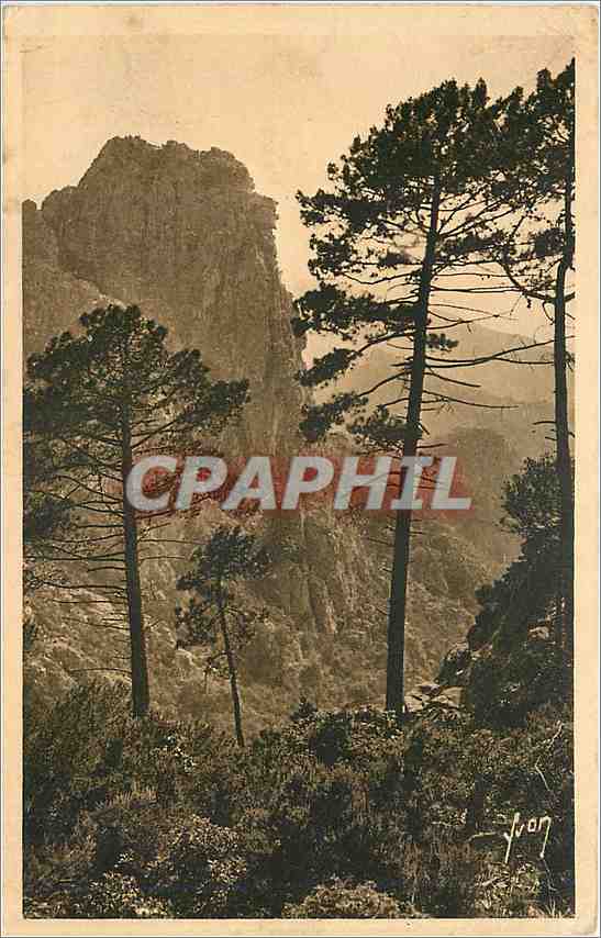 CPA Piana - Grandioses escarpements de granit rouge tombent à pic sur les eaux Azurees di golfe de P