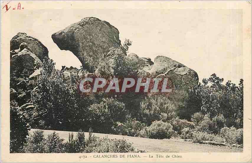 CPA Calanches de Piana - La tete de Chien