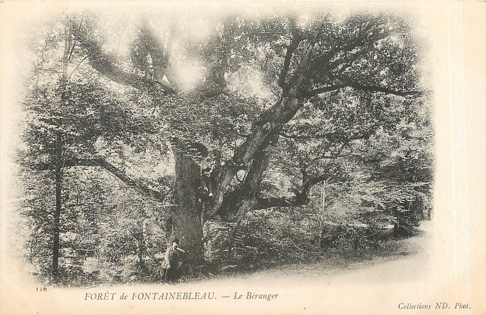Forêt de Fontainebleau — Le Béranger — Collections ND. Phot. - Recto