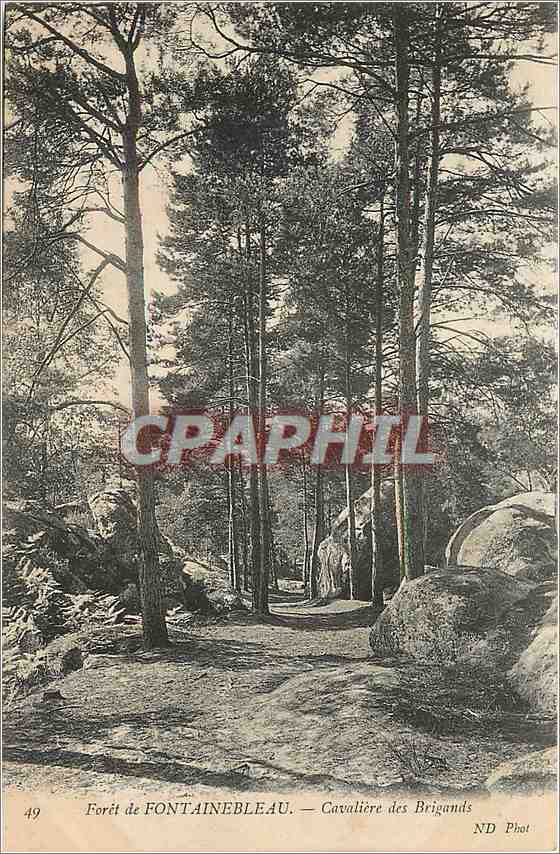 Wald von FONTAINEBLEAU — Cavalière des Brigands — ND Phot