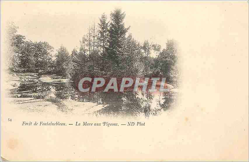 Forêt de Fontainebleau — La Mare aux Pigeons — ND Phot