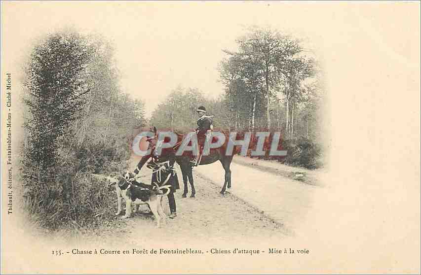 Caza con arco en la Selva de Fontainebleau — Perros de caza — Mise à la voie — Thaimout, editores, Fontainebleau-Meaux — n° 135