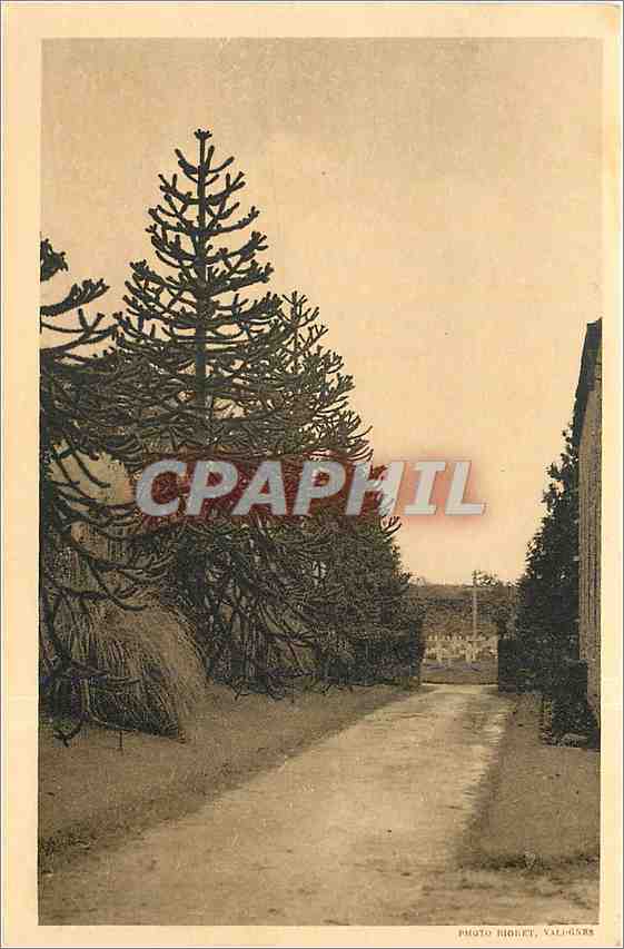 Abbaye Notre-Dame de Grâce - Trappe de Briequebec (Manche) — Allée du cimetière — Photo Riblet, Vallois 538