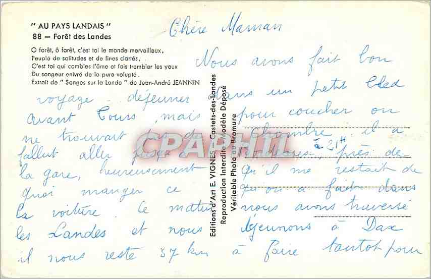 CPM Au Pays Landais - Foret des Landes — Rückseite
