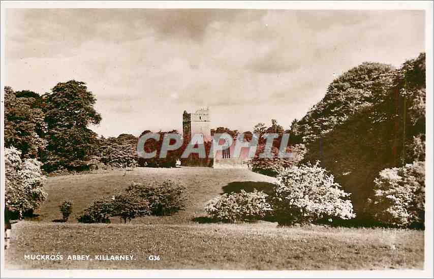 Muckross Abbey, Killarney — view of the castle on a wooded hill — G36