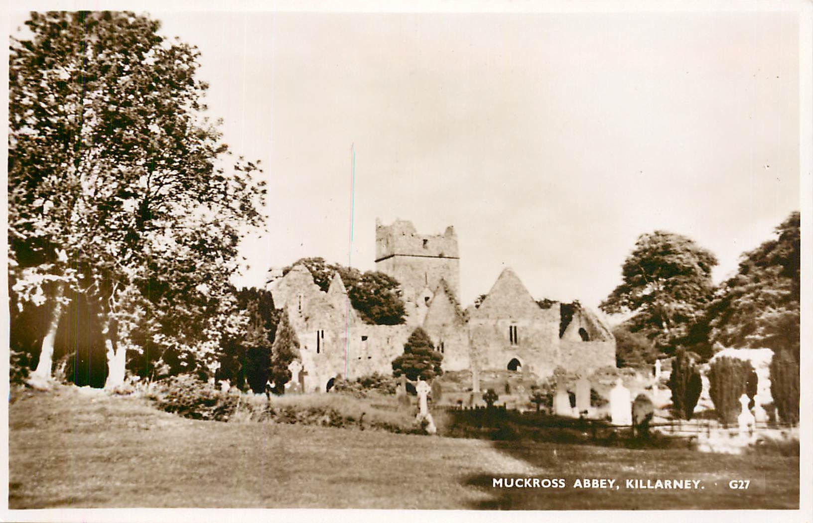 Muckross Abbey, Killarney — ruines d'abbaye celtique — Guy & Co. Ltd., G27