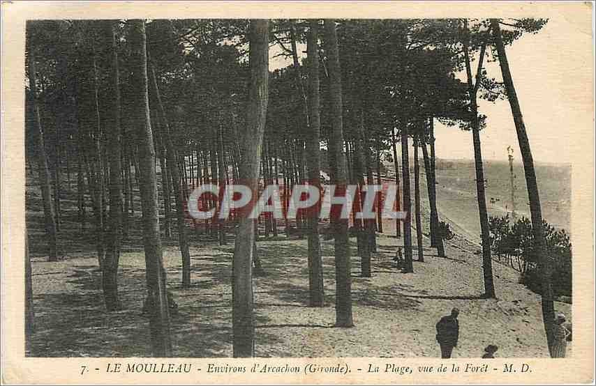 Le Moulleau - Environs d'Arcachon (Gironde) - La Plage, vue de la Forêt - M. D.