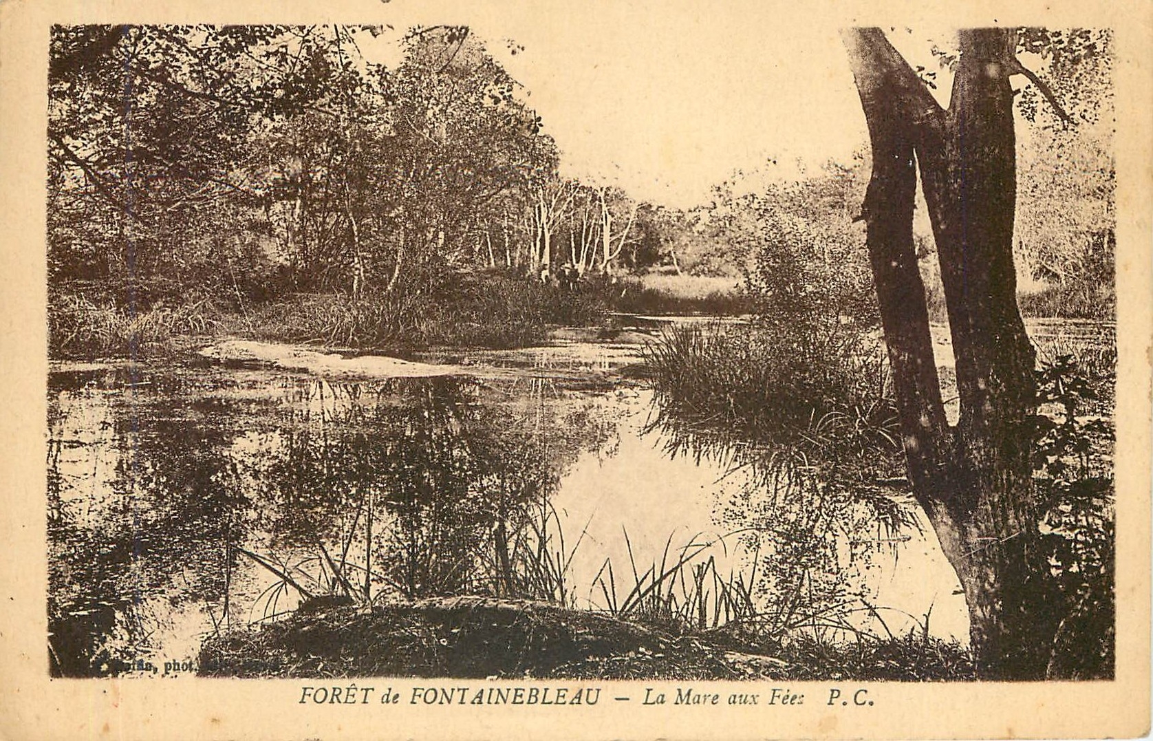 Forêt de Fontainebleau — La Mare aux Fées — P.C.