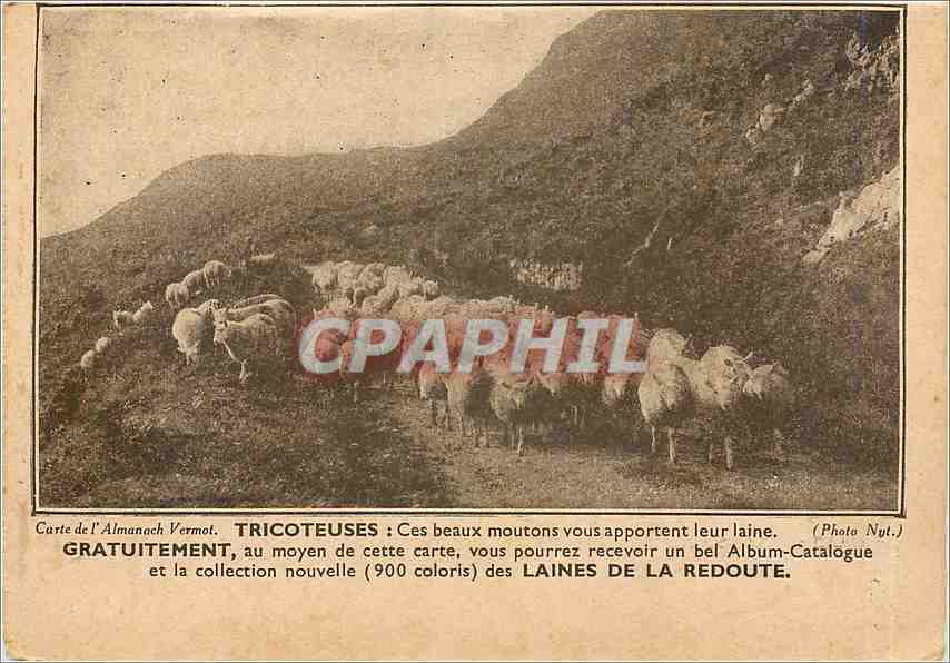 CPA Laines de la Redoute - ces beaux moutons vous apportent leur laine