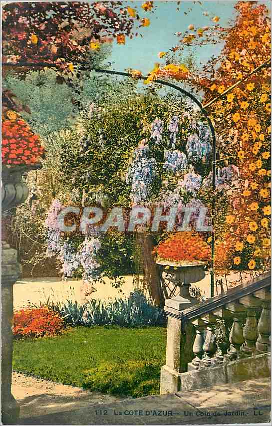 CPA la Cote d'Azur - un coin de jardin