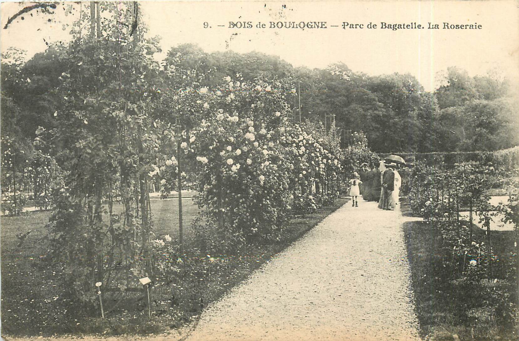CPA Bois de Boulogne - parc de Bagatelle La Roseraie