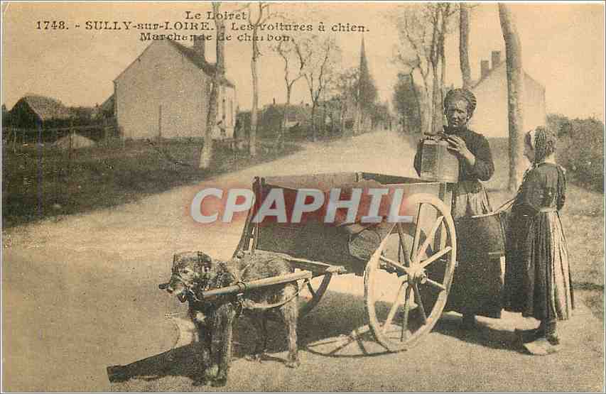 REPRO Le Loiret Sully-sur-Loire Les voitures a chien