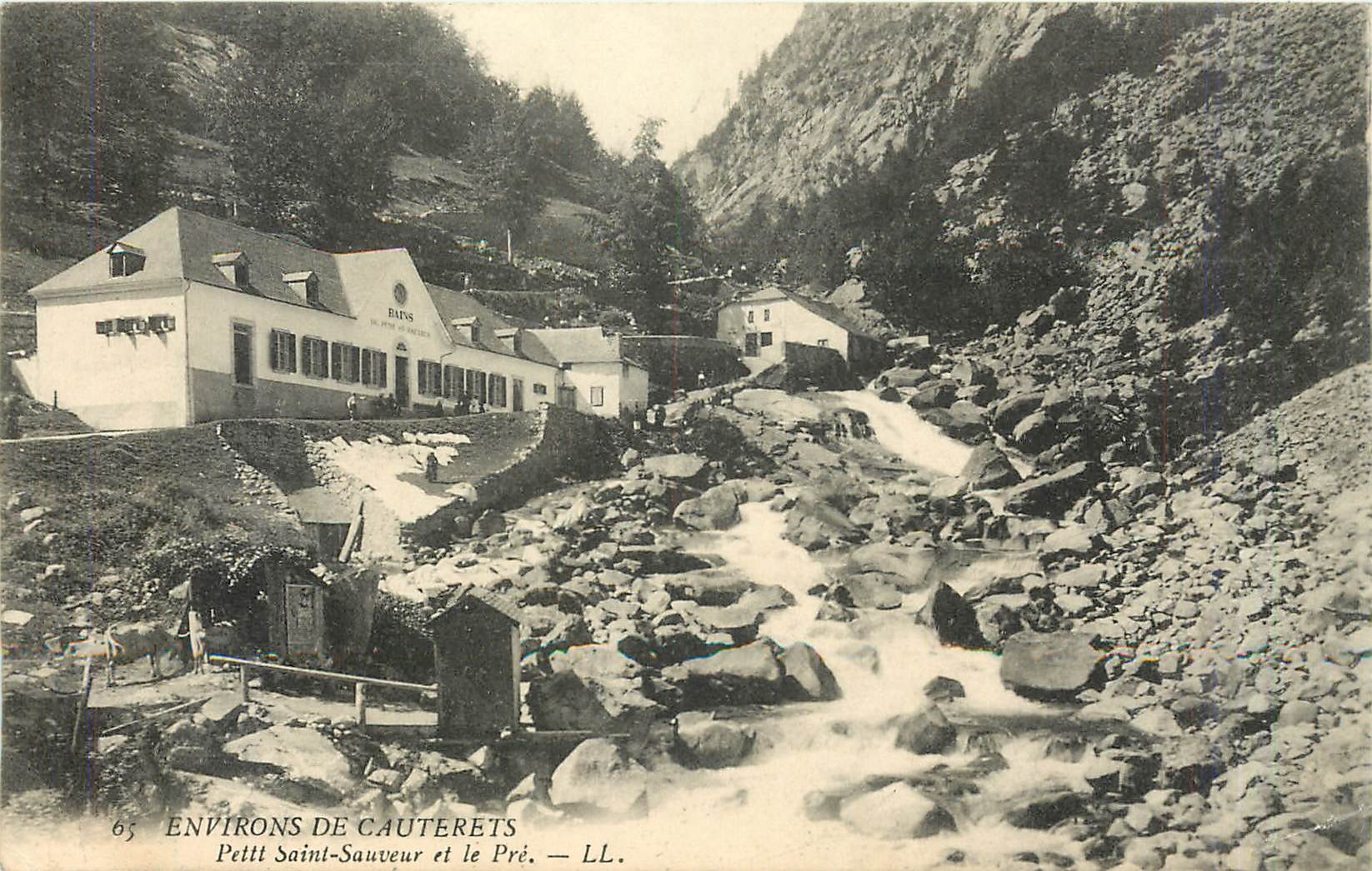 CPA Environs de Cauterets - petit Saint-Sauveur et le pre