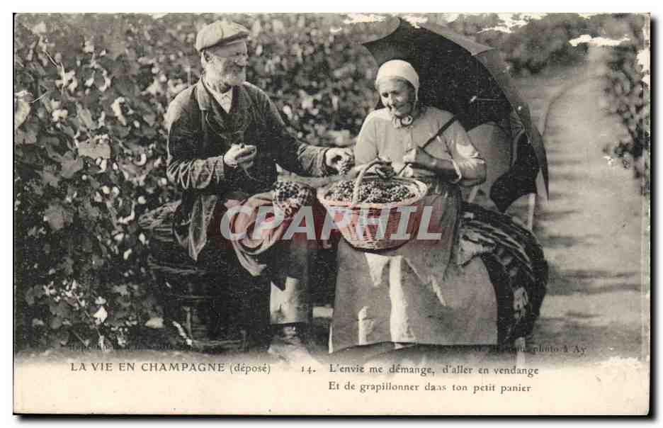 CPA La vie en Champagne ( folklore coiffe costume vignoble Vigne ) TOP
