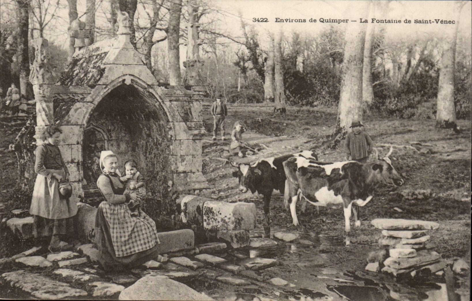 CPA Environs de Quimper La fontaine de Saint Venec ( vaches folklore costume ) 