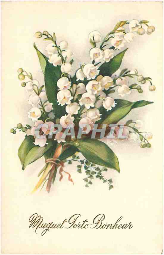 CPA Muguet Porte Bonheur 