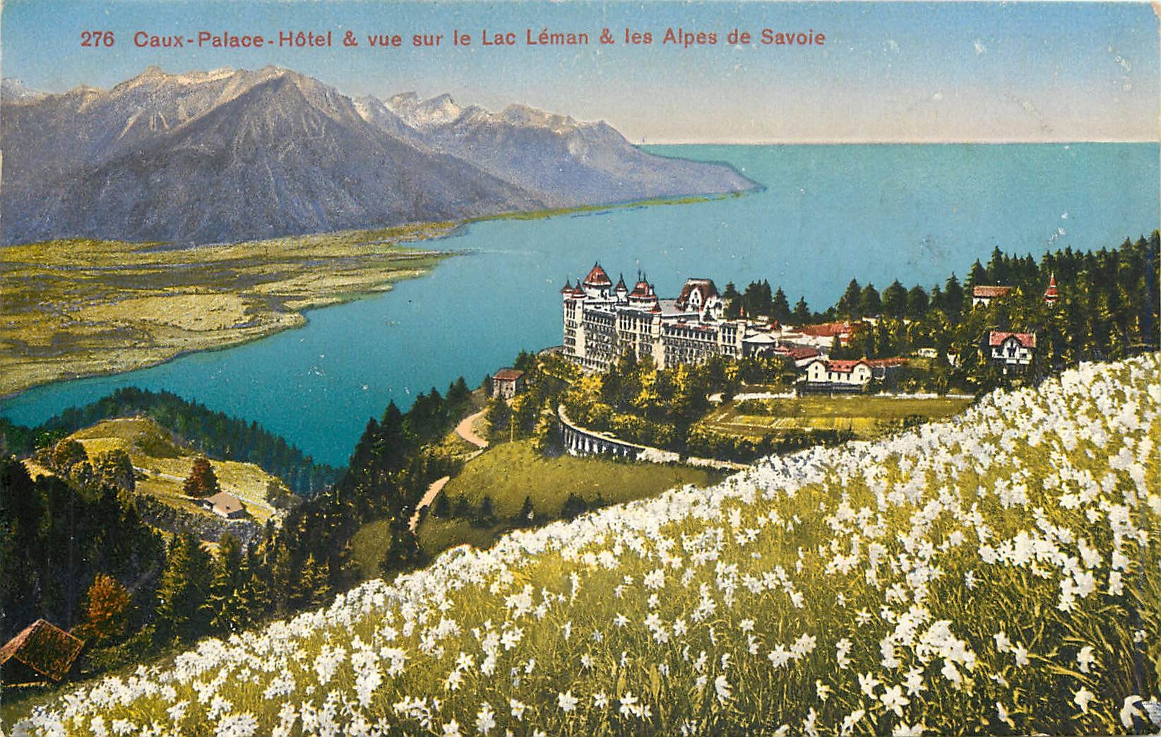 CPA Caux Palace Hotel et bue sur le lac Leman et les Alpes de Savoie 