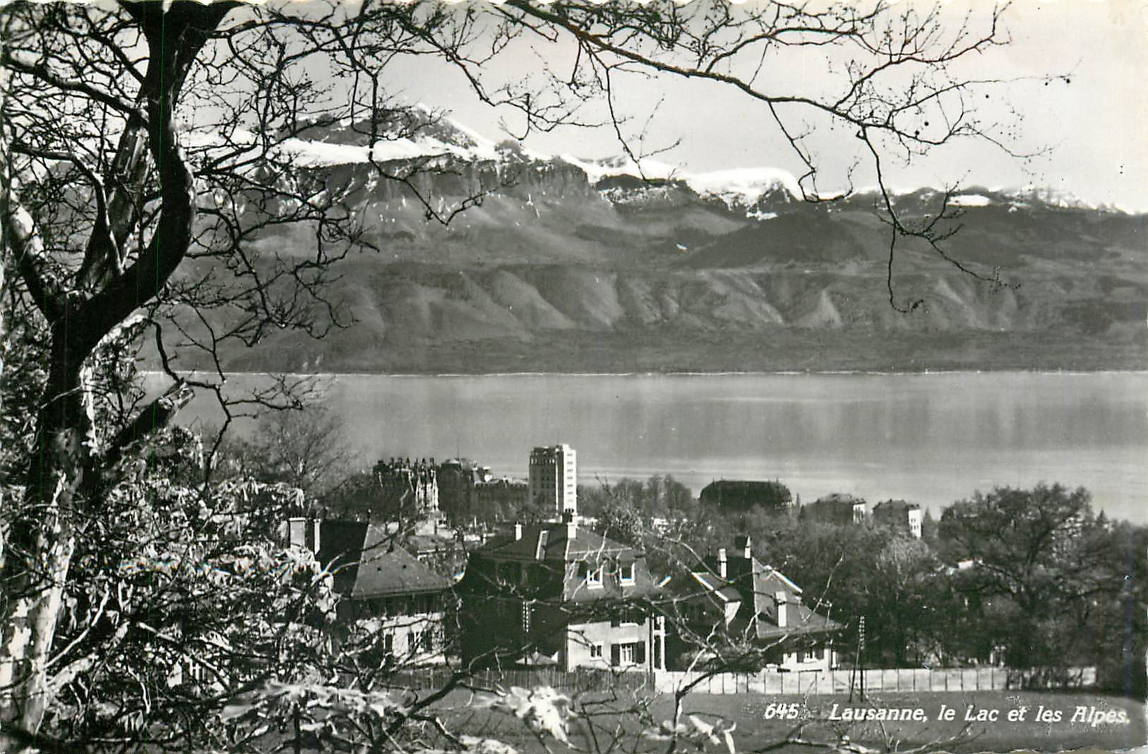 CPA Lausanne le lac et les Alpes 