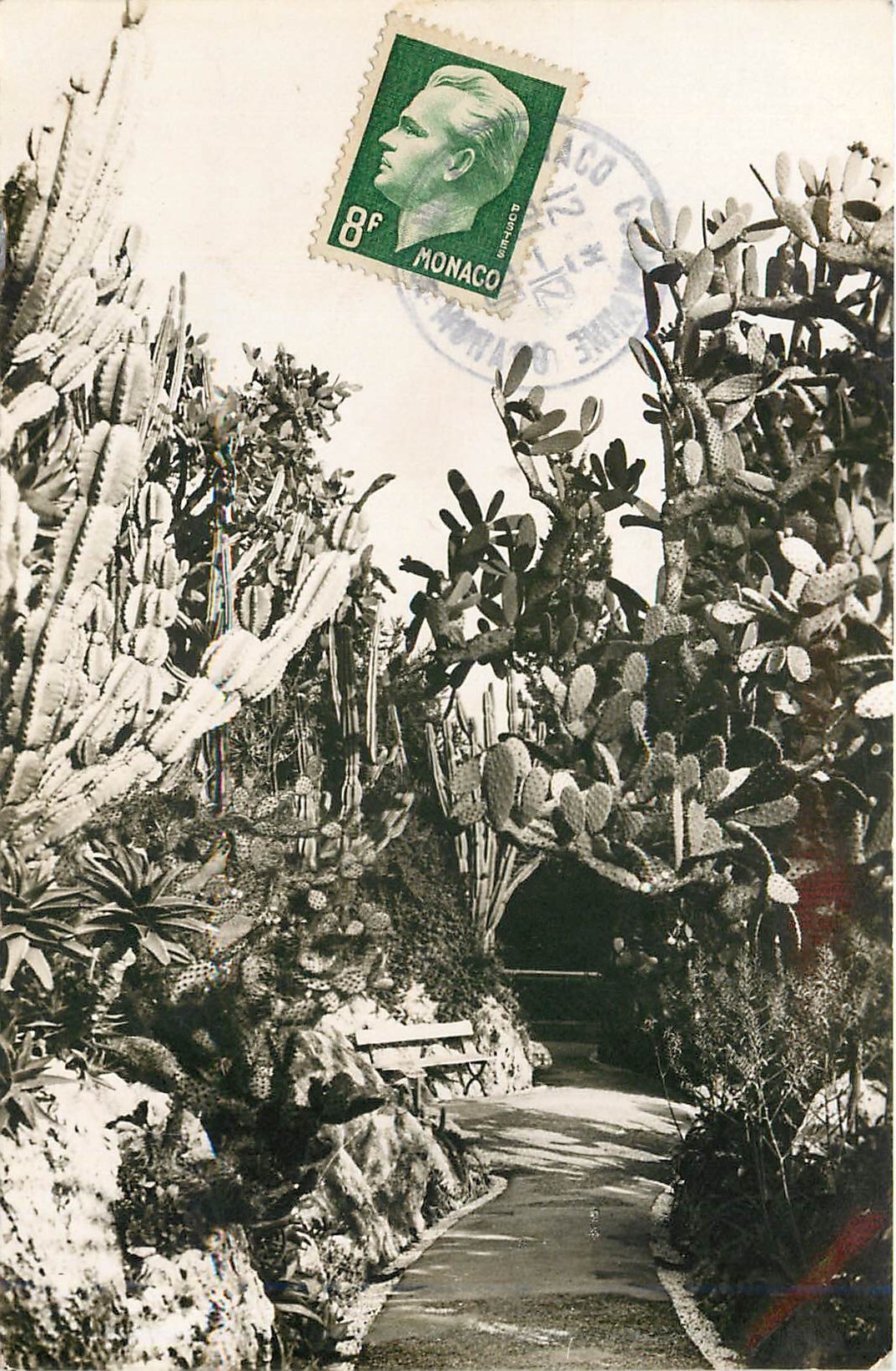 Exotischer Garten von Monaco — Kakteen und Sukkulenten — Luxus-Ausgabe