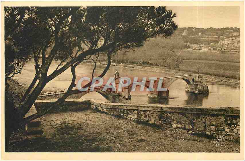 CPA Avignon Vaucluse le Pont Saint Benezet vu du Rocher du Dom 
