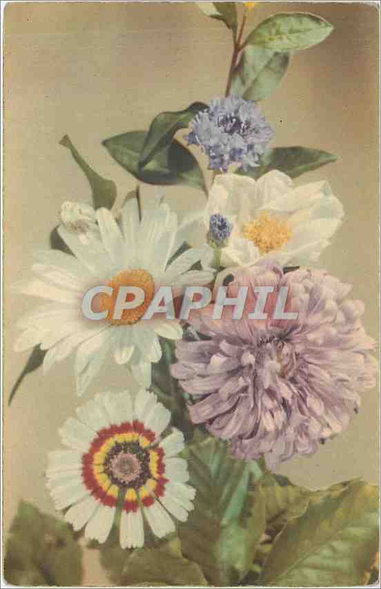 CPA Fleurs