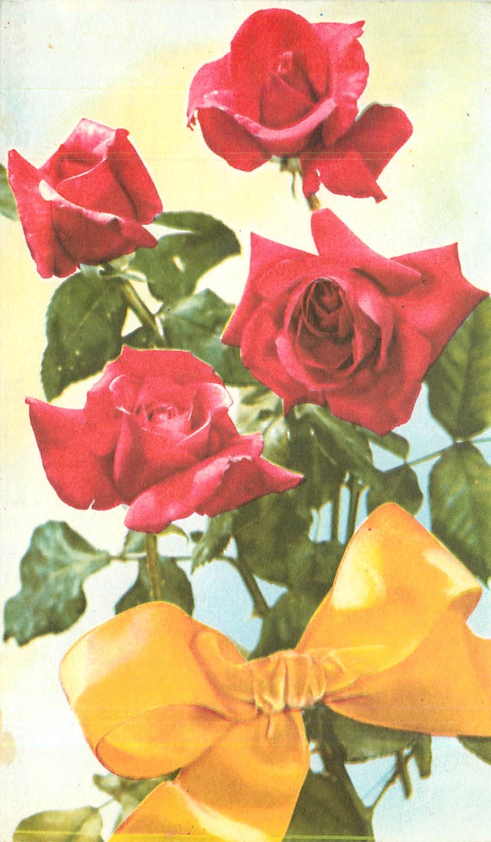 CPA Rosa Pelletier pour vos amis une carte souvenir 
