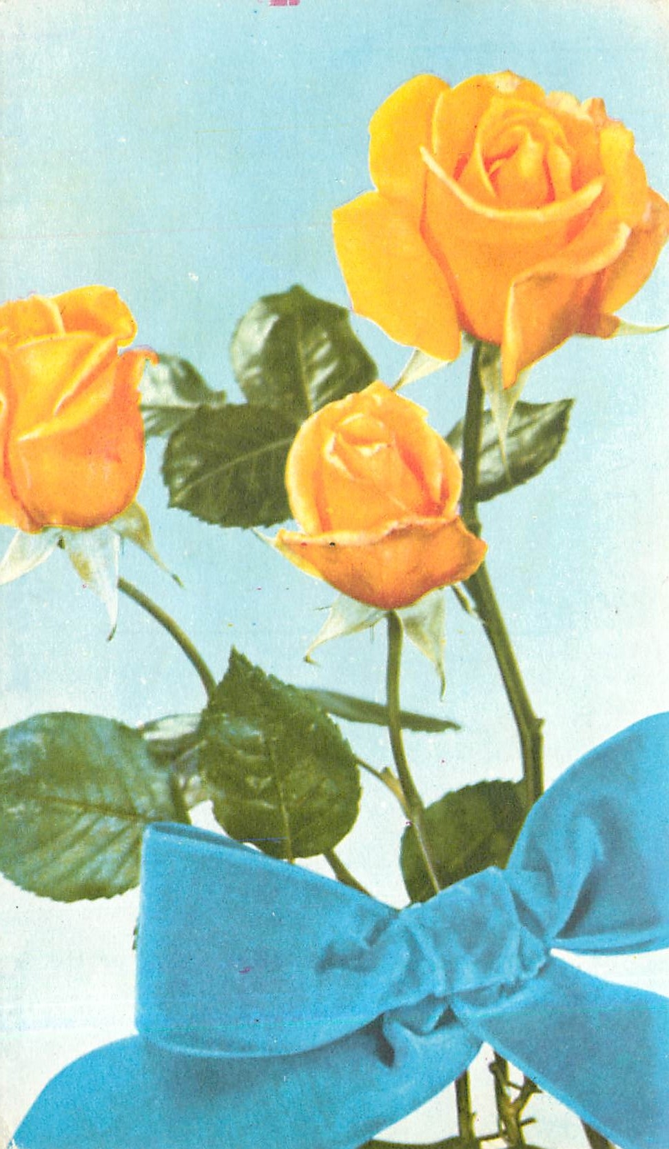 CPA Rosa Pelletier pour vos amis une carte souvenir 