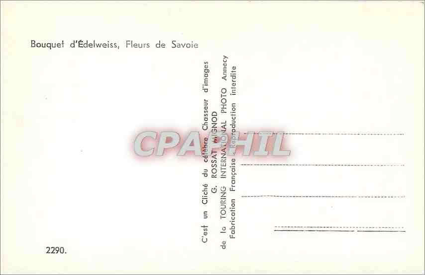 CPA Bouquet d'Edelweiss fleurs de Savoie  — Rückseite