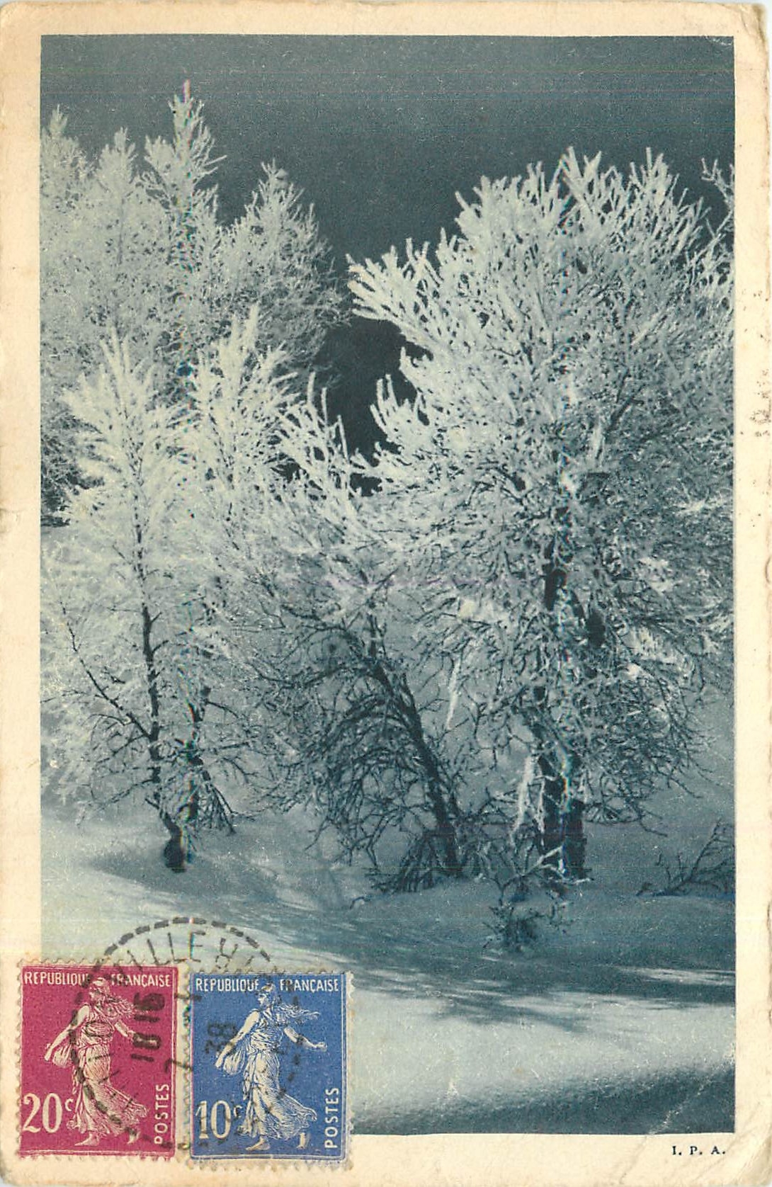 CPA Arbres sous la neige