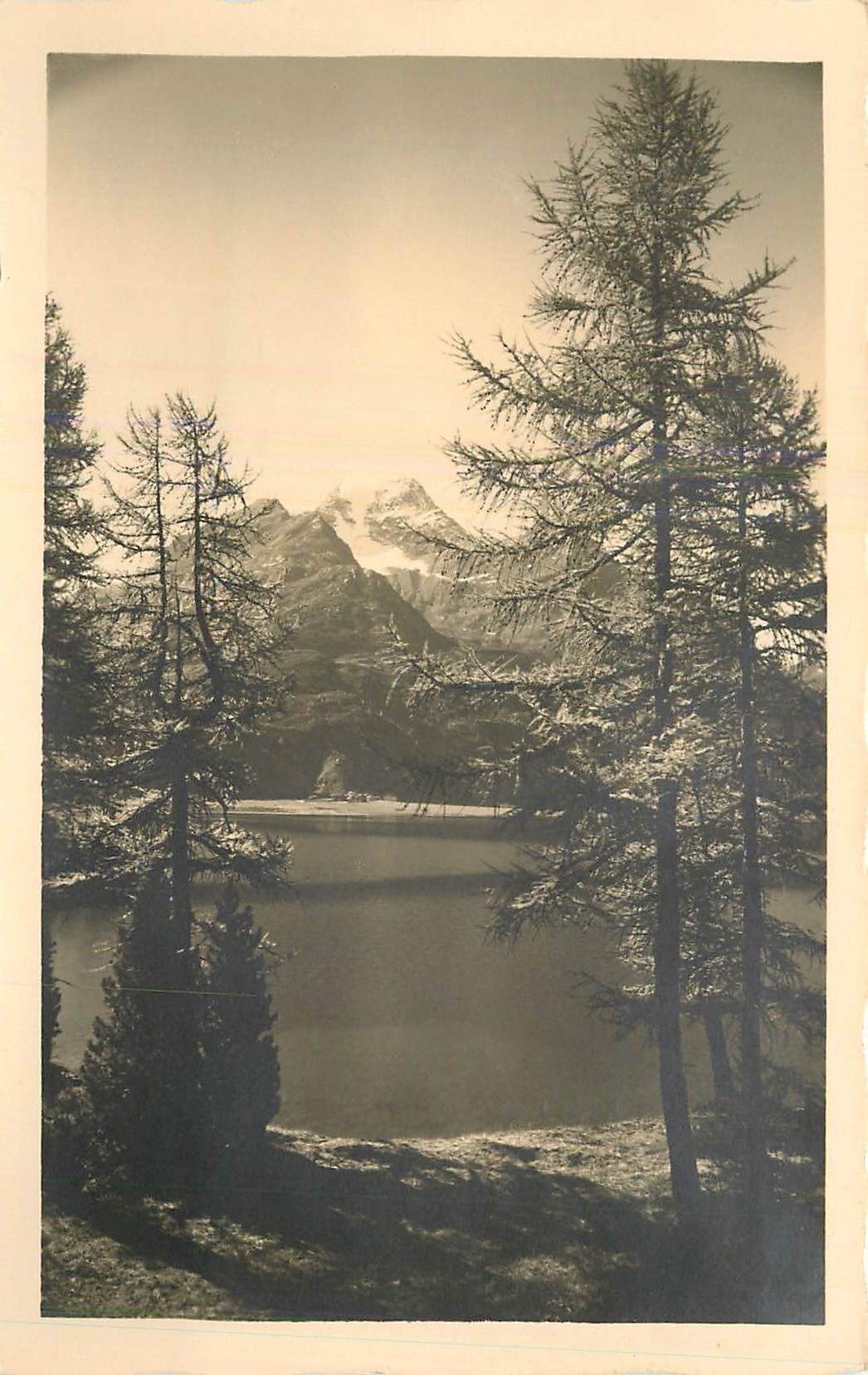 CPA Sils im Engadin Halbinsel Chaste Blick auf Piz della Margna 