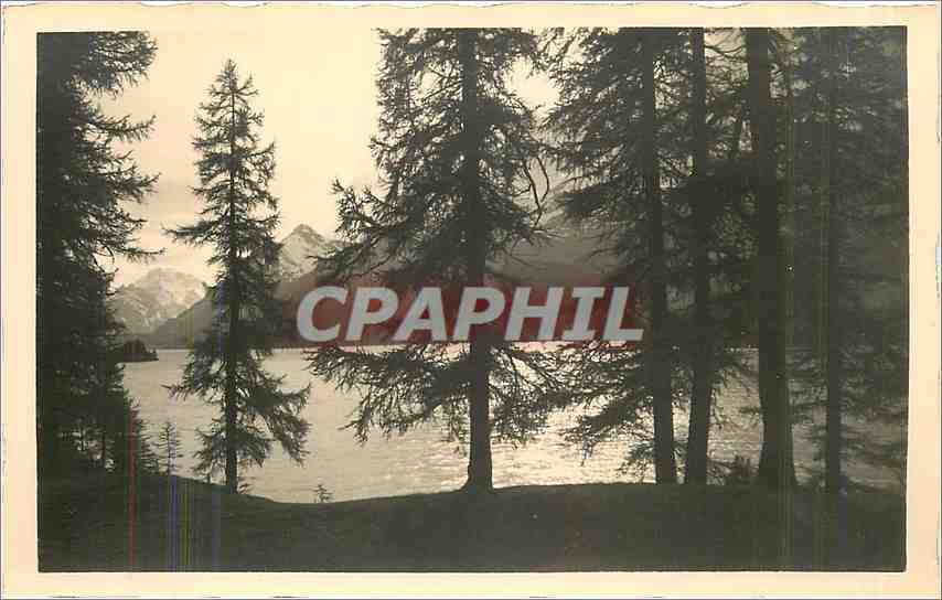 CPA Sils im Engadin Speziergang am See 