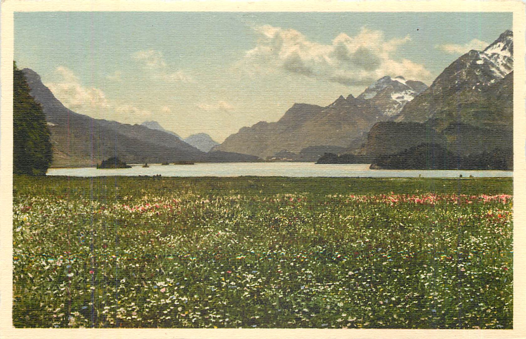CPA Sils im Engadin Sommer am Silsersee 